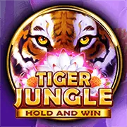 Game slot cổ điển bw808