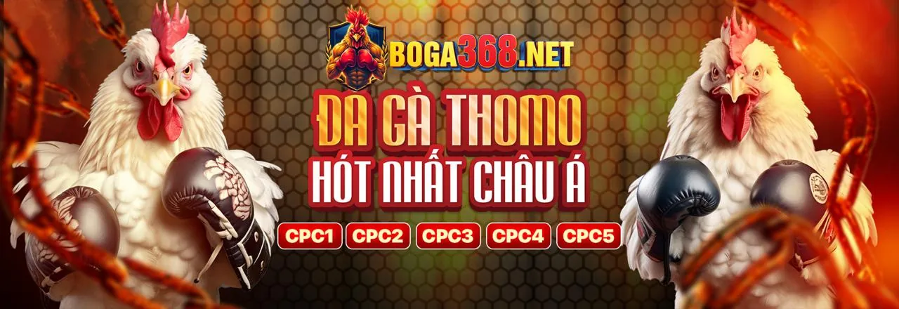 Đá gà trực tuyến hấp dẫn tại bw808 Link Vào